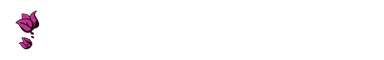 logo_header